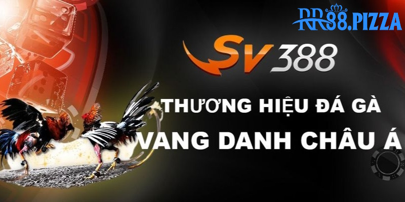 đá gà SV368